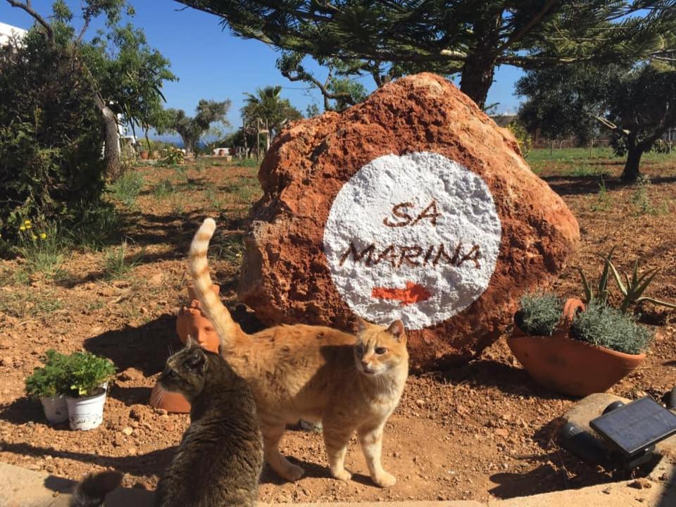 Cala Boix Agroturismo Sa Marina - Adults Only 빌라 외부 사진