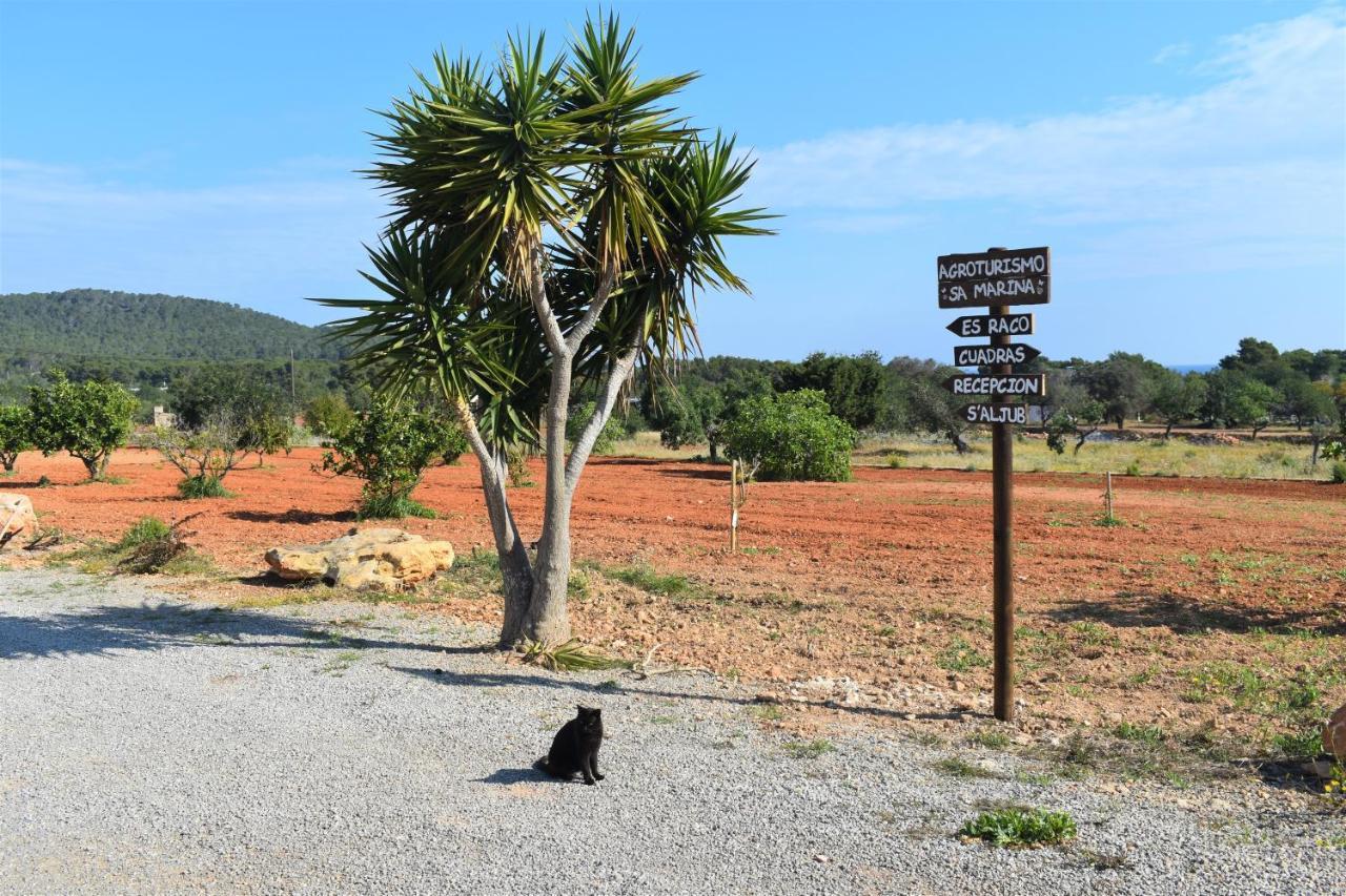 Cala Boix Agroturismo Sa Marina - Adults Only 빌라 외부 사진