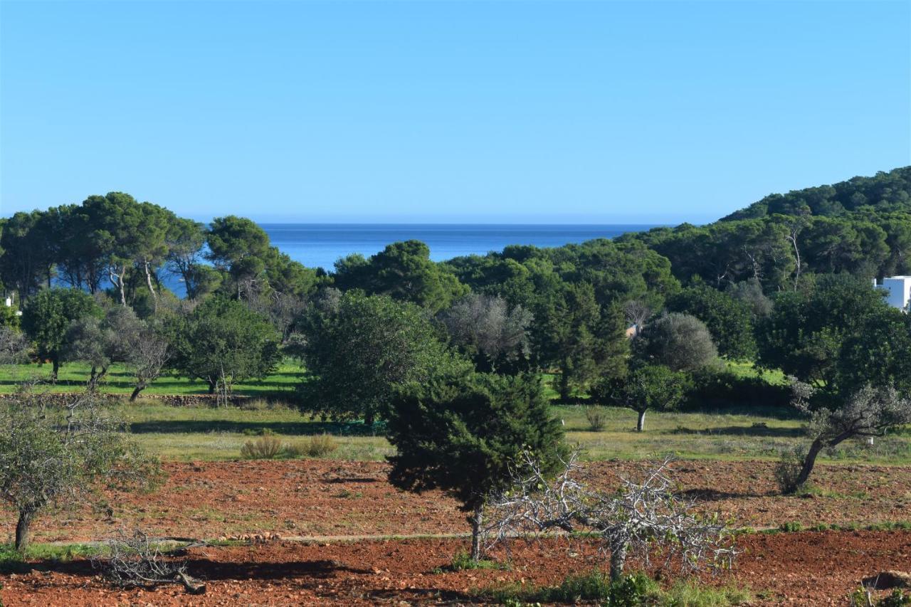 Cala Boix Agroturismo Sa Marina - Adults Only 빌라 외부 사진