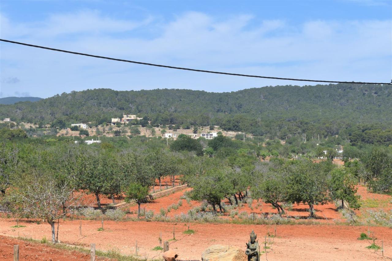 Cala Boix Agroturismo Sa Marina - Adults Only 빌라 외부 사진